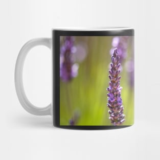 Purple lavender flowers Mug